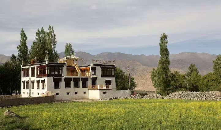 Homestays in Ladakh: A Heartwarming Journey into Local Culture