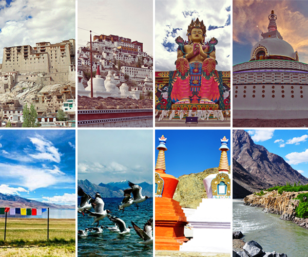 ladakh tourist places collage