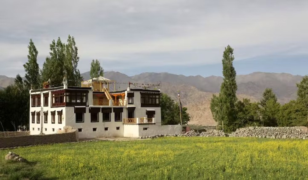Homestays in Ladakh: A Heartwarming Journey into Local  ...