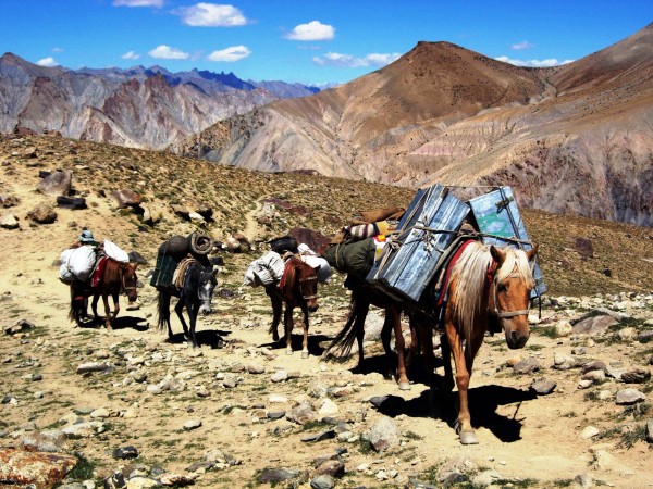 Trekking in ladakh