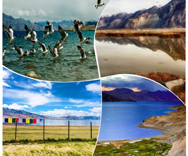 Lend your curiosity to these lakes in Ladakh