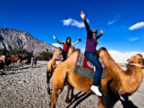 Camel safari