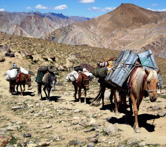 Saspotse to Skuru Nubra Trek
