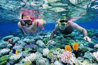 Andaman Best Seller