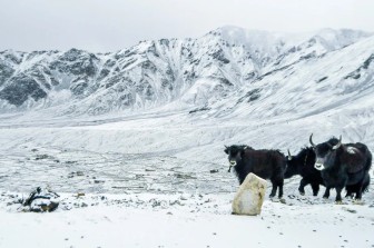 Namaste Ladakh