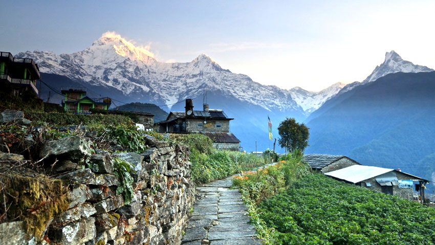 Ghorepani Poon Hill & Annapurna Base Camp Trek
