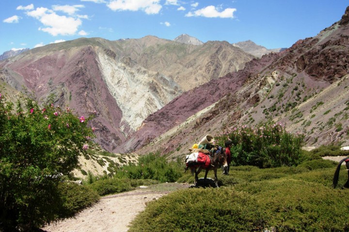Highland Ladakh